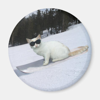 Chat amusant sur un aimant de snowboard