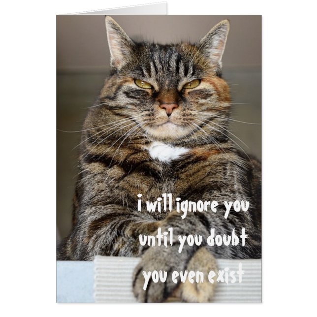 Chat Angry Jugementaire Doubte Ton Existence Humou (Devant)