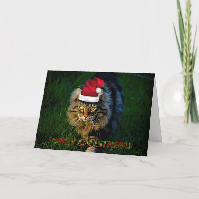 Chat animal de minou de Noël de Noël de carte de (Devant)