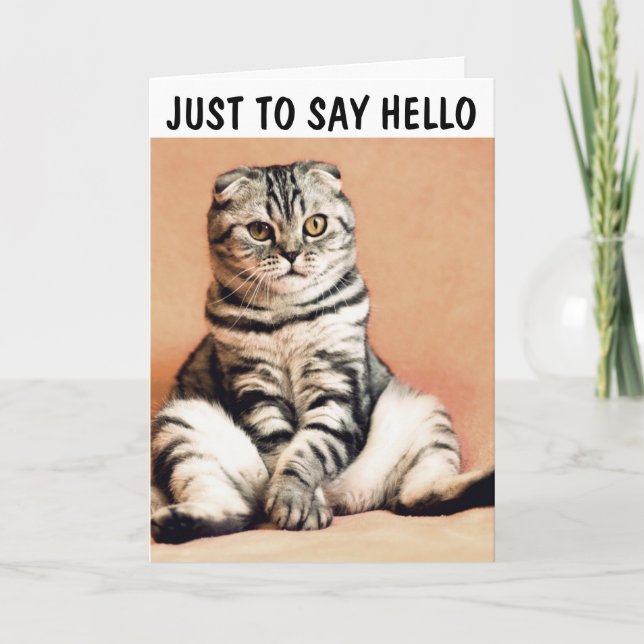 CHAT ASSIS COMME UNE PERSONNE BONJOUR CARTES DE FÉ (Devant)