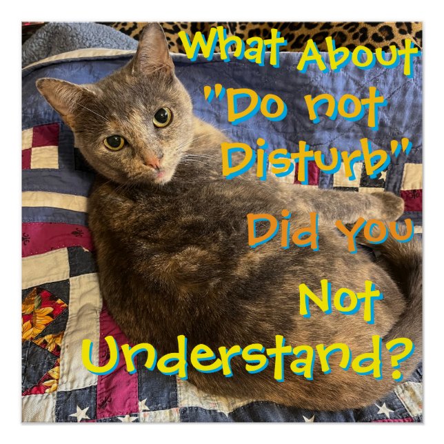 Chat avec affiche d'attitude (Devant)