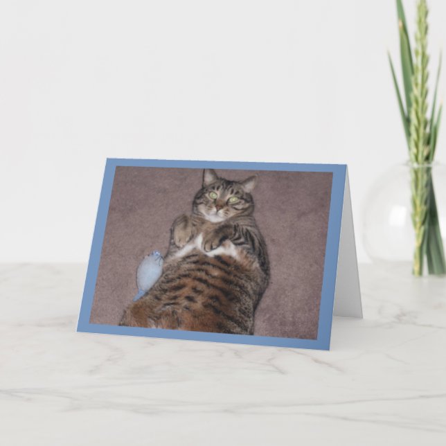 Chat Avec Carte D'Anniversaire Tude (Devant)