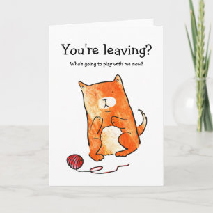 Chat avec carte de laisser en laine