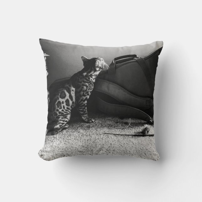 Chat avec coussin de guitare (Recto)