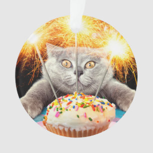 Chat Avec Cupcake Sparkler