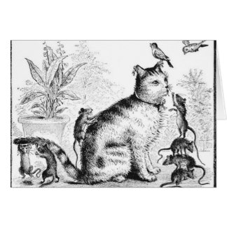 Chat avec des oiseaux et des rats