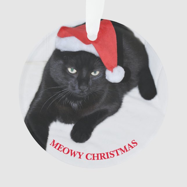 Chat avec le casquette rouge de Père Noël (devant)
