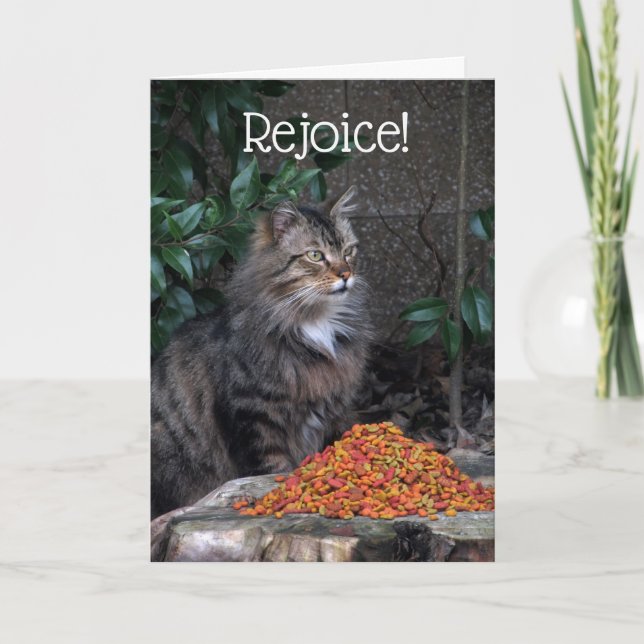 Chat avec une carte de miracle de Pâques (Devant)