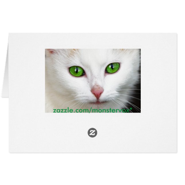 Chat blanc à l'oeil vert (Dos Horizontal)
