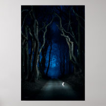Chat blanc sur Canopy Road à Night Poster Art Impr