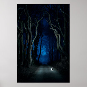 Chat blanc sur Canopy Road à Night Poster Art Impr