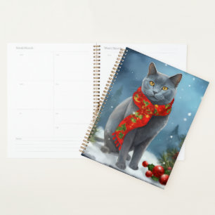 Chat bleu russe à Noël de neige