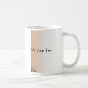 Chat blond avec des yeux de topaze sur la tasse de