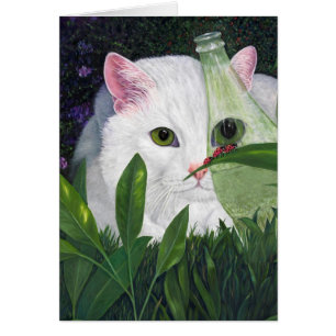 Chat, Bouteille de Coca et Ladybugs