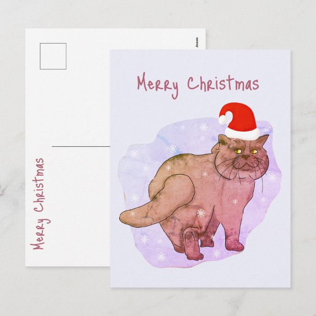 Chat britannique. Père Noël cat. Carte postale pou (Devant / Derrière)