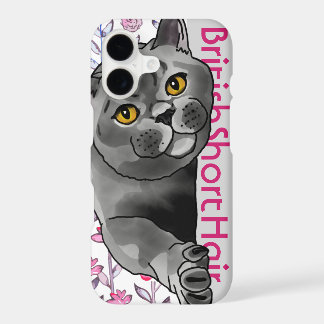 Chat British Shorthair + Nom de l'animal