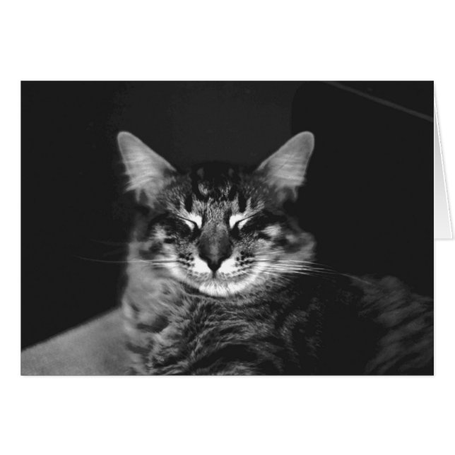 Chat Card Nr. 3 (Vorderseite (Horizontal))