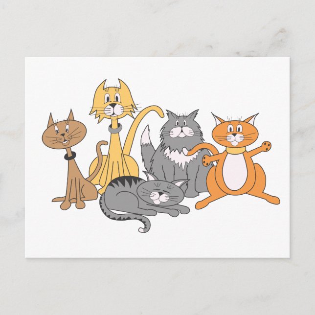Chat! Carte postale (Devant)