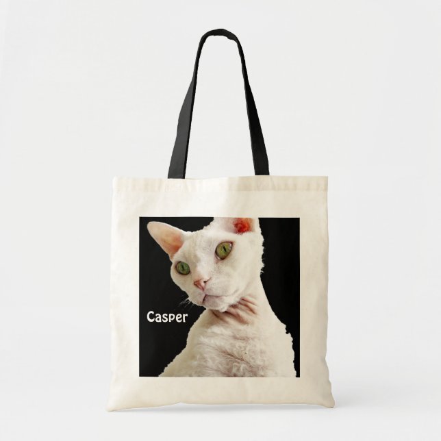 Chat Casper de Devon Rex de blanc du sac | (Devant)