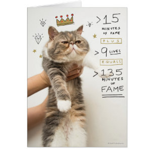 Chat Celeberity d'Internet