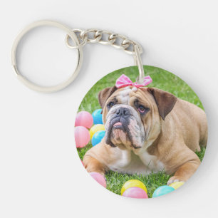 Chat, Chien, Animaux de compagnie Photo Porte - cl