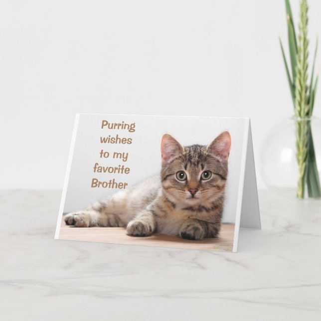 *CHAT COMÉDIQUE* POUR MA CARTE D'ANNIVERSAIRE DE F (Devant)