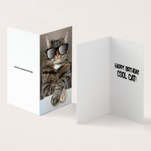 CHAT cool JEUX ANNIVERSAIRE SOLEILS DE SOLEIL CART