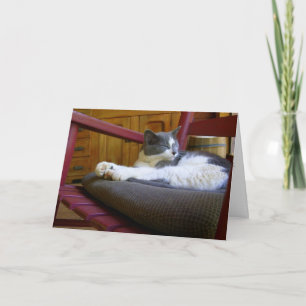 Chat couché / Carte de voeux d'anniversaire