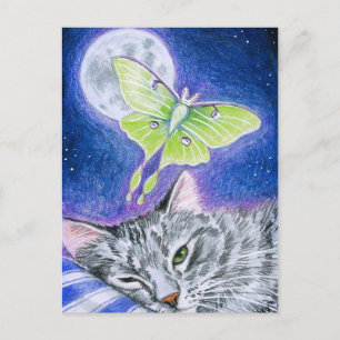 Chat couché mignon avec Luna Moth, Carte postale L