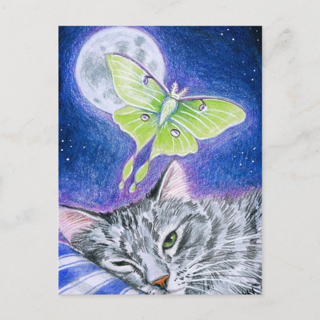 Chat couché mignon avec Luna Moth, Carte postale L (Devant)