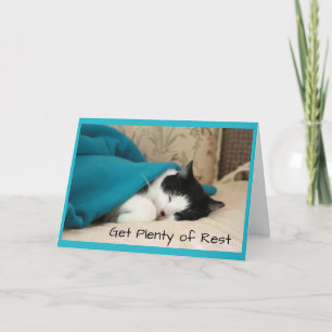 Chat couché obtenir une carte de bien