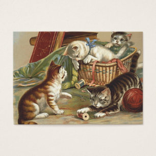 Chat curieux de PIÈCE EN T