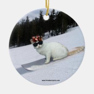 Chat d'amusement sur un ornement de vacances de