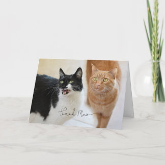 Chat Dankeschön Karte