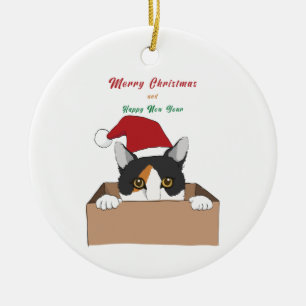 Chat dans la boîte Ornement en métal de Noël