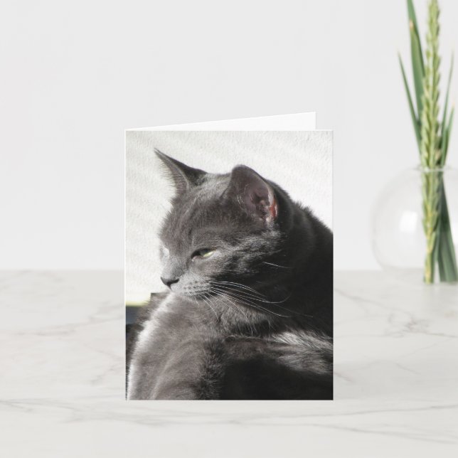 Chat dans la carte de note Sun (Devant)