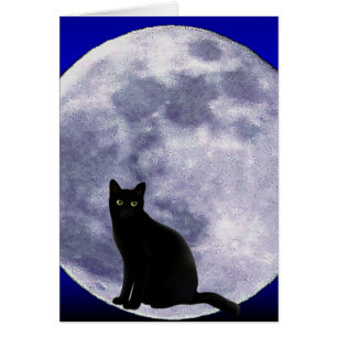 Chat dans la lune_