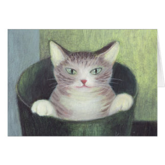 Chat dans le seau