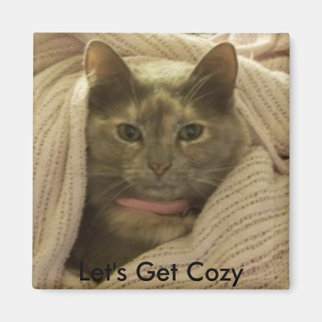 Chat dans les couvertures, Obtenons un aimant conf (Devant)