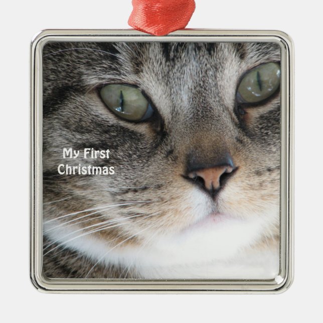 Chat d'argent Mon premier ornement photo de Noël (Devant)