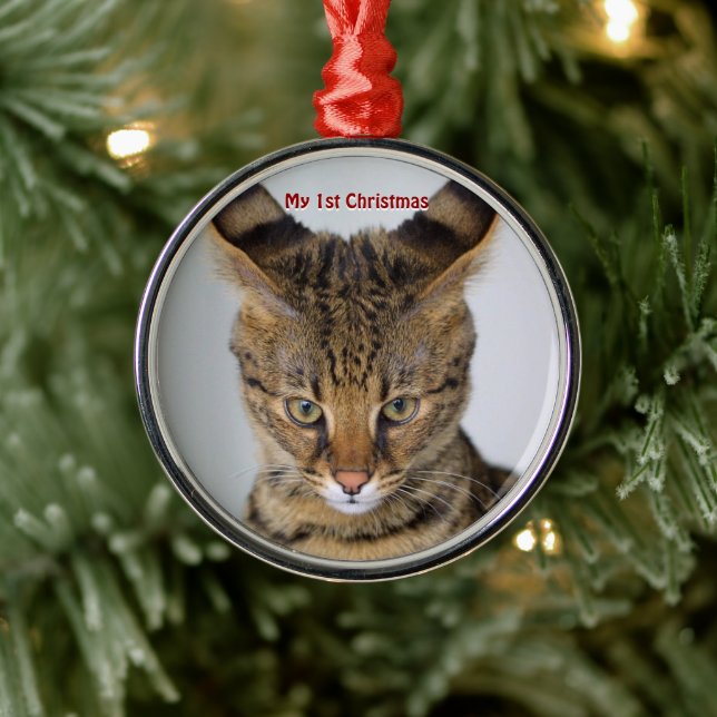 Chat d'argent Mon premier ornement photo de Noël (Arbre)
