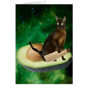 chat d'avocat