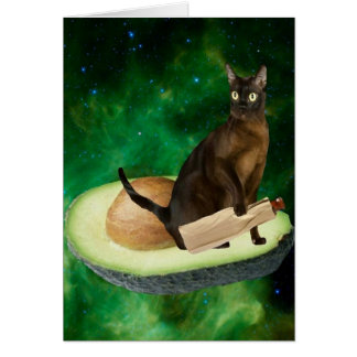 chat d'avocat