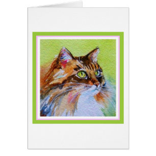 Chat de calicot