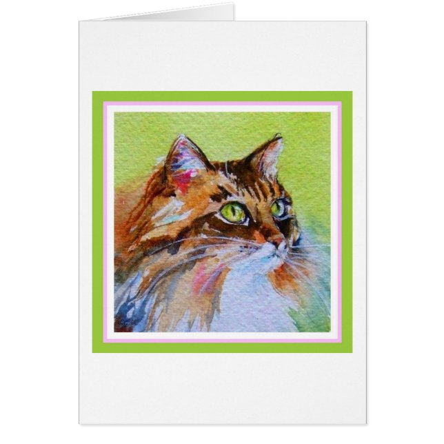 Chat de calicot (Devant)