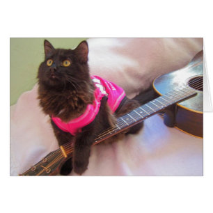 Chat de chemise d'ACDC