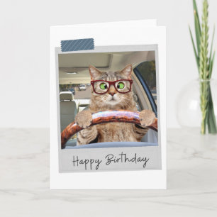 Chat de conduite amusant carte d'anniversaire