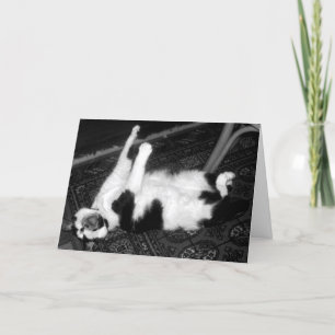 Chat de cri Carte d'anniversaire retardée