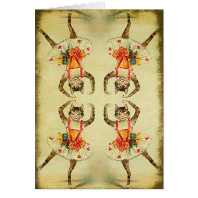 Chat de danse (Devant)