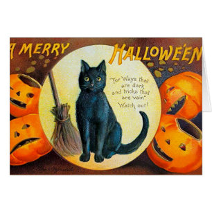Chat de Fally Joyeux Halloween